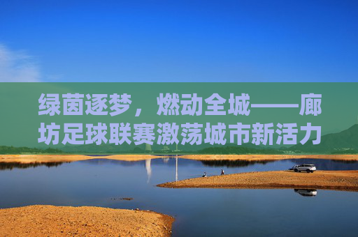 绿茵逐梦，燃动全城——廊坊足球联赛激荡城市新活力