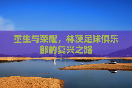 重生与荣耀，林茨足球俱乐部的复兴之路