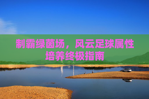 制霸绿茵场，风云足球属性培养终极指南