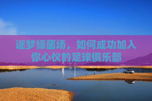 逐梦绿茵场，如何成功加入你心仪的足球俱乐部