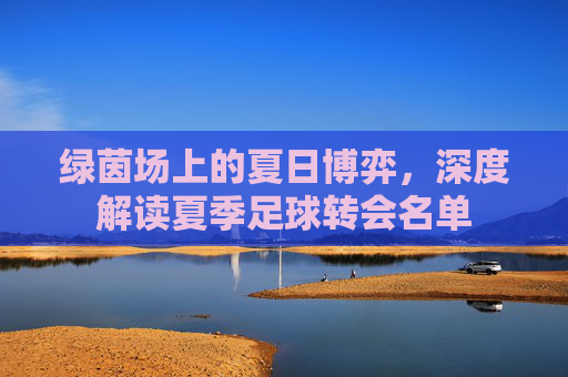 绿茵场上的夏日博弈，深度解读夏季足球转会名单