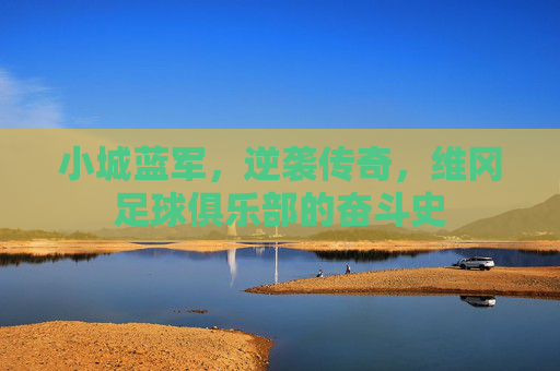 小城蓝军，逆袭传奇，维冈足球俱乐部的奋斗史
