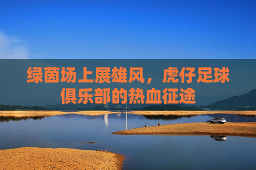 绿茵场上展雄风，虎仔足球俱乐部的热血征途