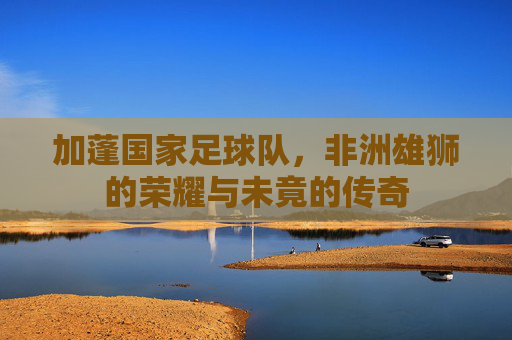加蓬国家足球队，非洲雄狮的荣耀与未竟的传奇