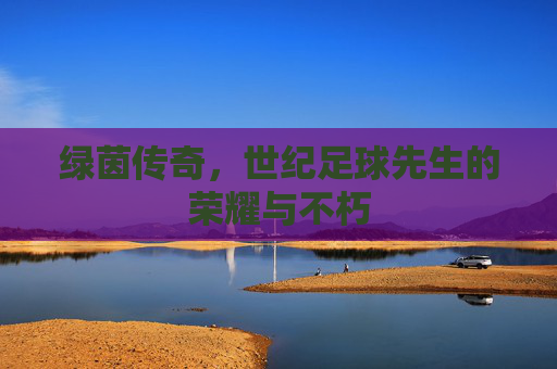 绿茵传奇，世纪足球先生的荣耀与不朽