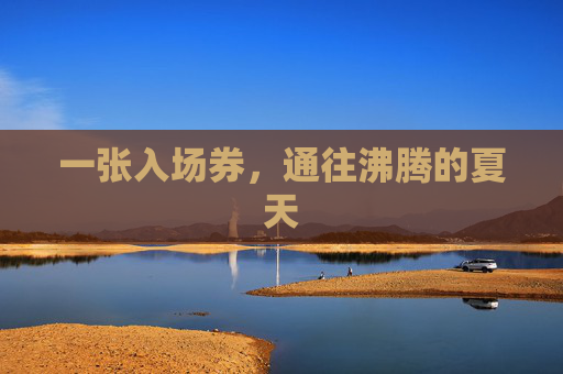 一张入场券，通往沸腾的夏天