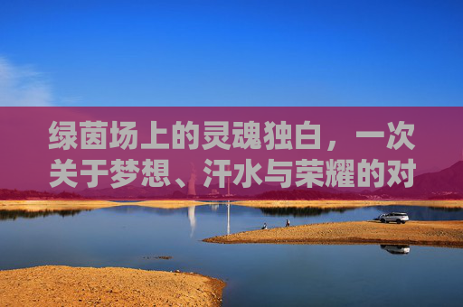 绿茵场上的灵魂独白，一次关于梦想、汗水与荣耀的对足球运动员的采访