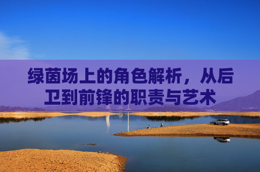 绿茵场上的角色解析，从后卫到前锋的职责与艺术