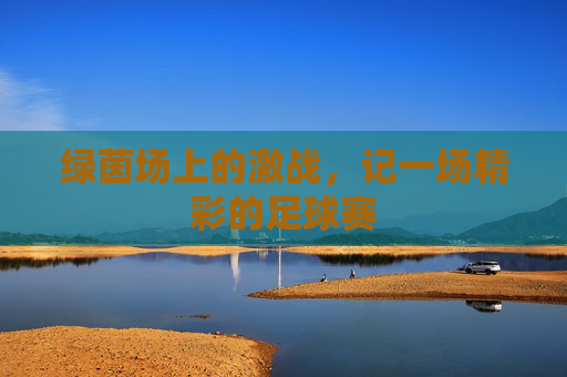 绿茵场上的激战，记一场精彩的足球赛