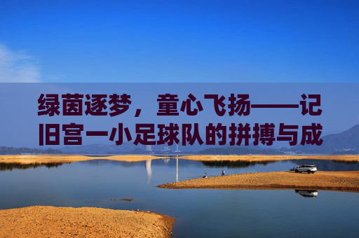 绿茵逐梦，童心飞扬——记旧宫一小足球队的拼搏与成长