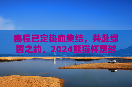 赛程已定热血集结，共赴绿茵之约，2024熊猫杯足球赛赛程表重磅出炉