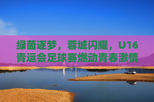 绿茵逐梦，蓉城闪耀，U16青运会足球赛燃动青春激情