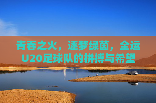 青春之火，逐梦绿茵，全运U20足球队的拼搏与希望
