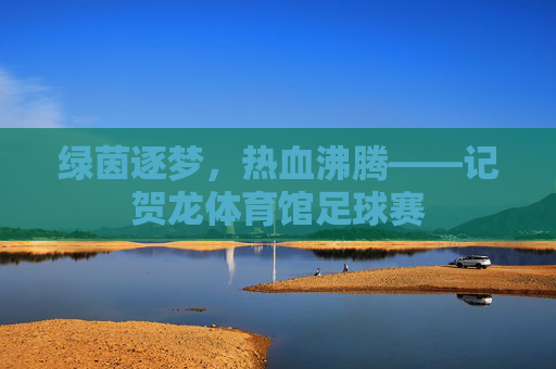 绿茵逐梦，热血沸腾——记贺龙体育馆足球赛