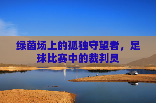 绿茵场上的孤独守望者，足球比赛中的裁判员