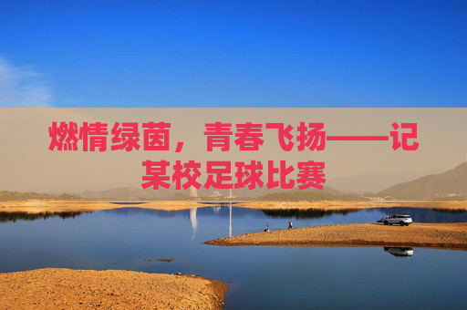 燃情绿茵，青春飞扬——记某校足球比赛