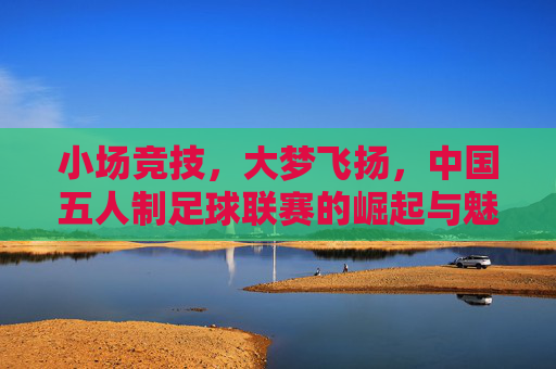 小场竞技，大梦飞扬，中国五人制足球联赛的崛起与魅力