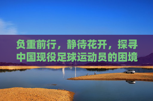 负重前行，静待花开，探寻中国现役足球运动员的困境与希望