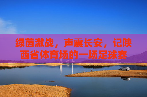 绿茵激战，声震长安，记陕西省体育场的一场足球赛