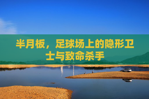 半月板，足球场上的隐形卫士与致命杀手