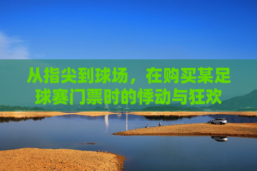 从指尖到球场，在购买某足球赛门票时的悸动与狂欢