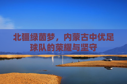 北疆绿茵梦，内蒙古中优足球队的荣耀与坚守