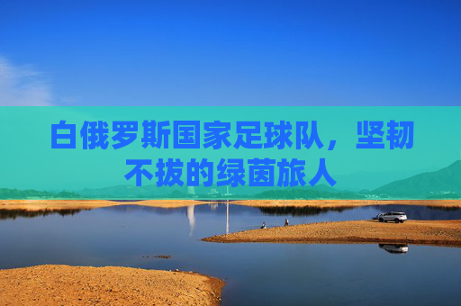 白俄罗斯国家足球队，坚韧不拔的绿茵旅人