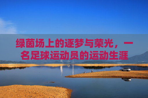 绿茵场上的逐梦与荣光，一名足球运动员的运动生涯
