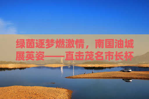 绿茵逐梦燃激情，南国油城展英姿——直击茂名市长杯足球赛