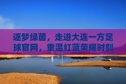 逐梦绿茵，走进大连一方足球官网，重温红蓝荣耀时刻