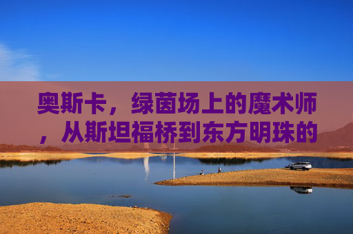 奥斯卡，绿茵场上的魔术师，从斯坦福桥到东方明珠的华丽谢幕