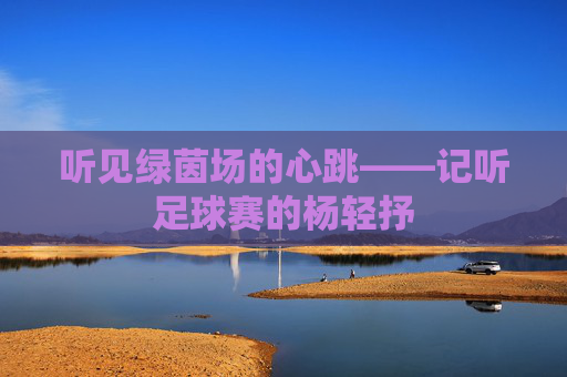 听见绿茵场的心跳——记听足球赛的杨轻抒