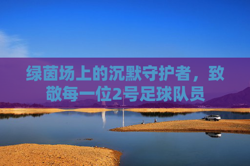 绿茵场上的沉默守护者，致敬每一位2号足球队员