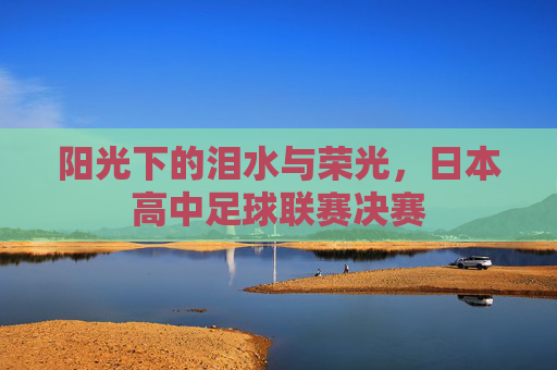 阳光下的泪水与荣光，日本高中足球联赛决赛