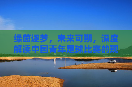 绿茵逐梦，未来可期，深度解读中国青年足球比赛的现状与希望