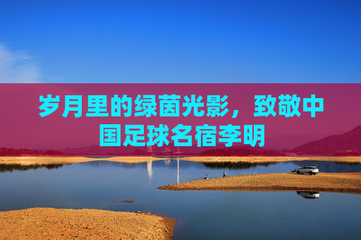 岁月里的绿茵光影，致敬中国足球名宿李明