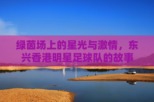 绿茵场上的星光与激情，东兴香港明星足球队的故事