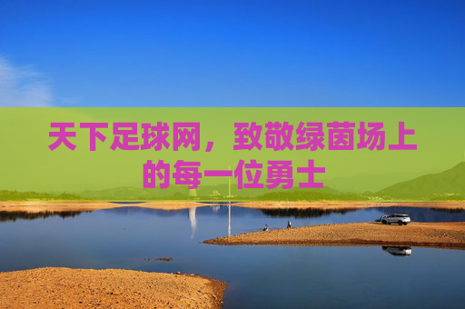 天下足球网，致敬绿茵场上的每一位勇士