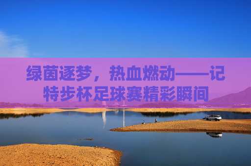 绿茵逐梦，热血燃动——记特步杯足球赛精彩瞬间