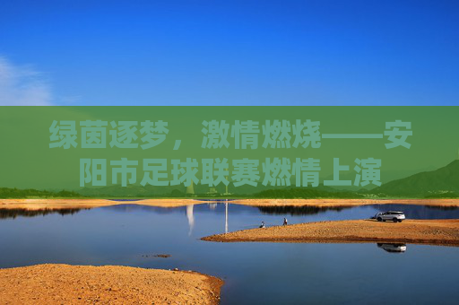绿茵逐梦，激情燃烧——安阳市足球联赛燃情上演