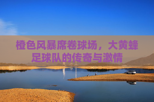 橙色风暴席卷球场，大黄蜂足球队的传奇与激情