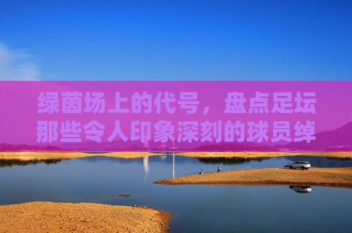 绿茵场上的代号，盘点足坛那些令人印象深刻的球员绰号