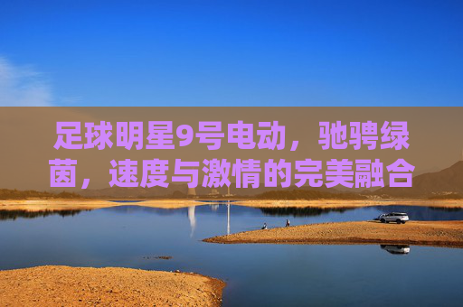 足球明星9号电动，驰骋绿茵，速度与激情的完美融合