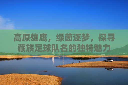 高原雄鹰，绿茵逐梦，探寻藏族足球队名的独特魅力