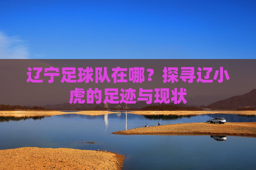 辽宁足球队在哪？探寻辽小虎的足迹与现状