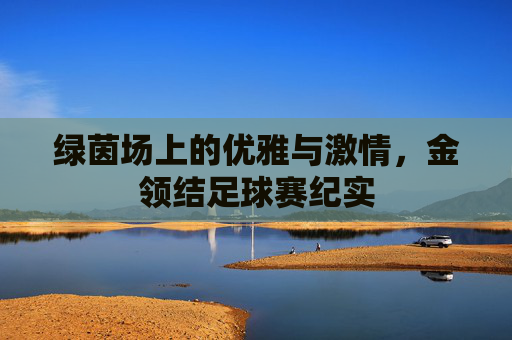 绿茵场上的优雅与激情，金领结足球赛纪实