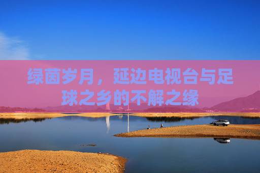 绿茵岁月，延边电视台与足球之乡的不解之缘