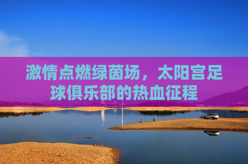 激情点燃绿茵场，太阳宫足球俱乐部的热血征程