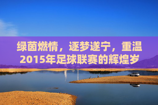 绿茵燃情，逐梦遂宁，重温2015年足球联赛的辉煌岁月