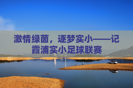 激情绿茵，逐梦实小——记霞浦实小足球联赛